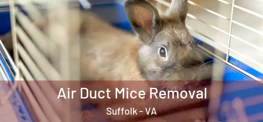  Air Duct Mice Removal Suffolk - VA