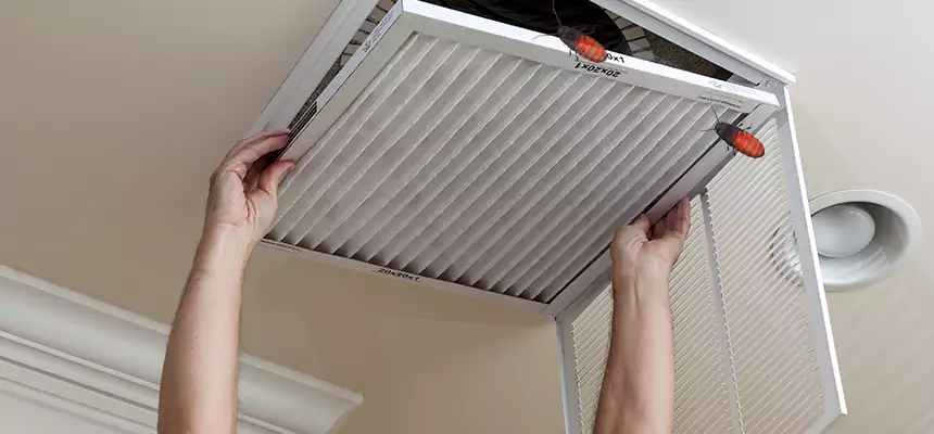 Preventive Cockroach-Proofing for Ducts in Suffolk