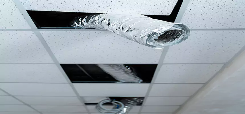 Our Air Duct Pet Hair Removal Services in Suffolk, VA