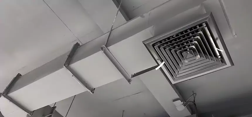 Our Pest Removal From Ducts Services in Suffolk, VA