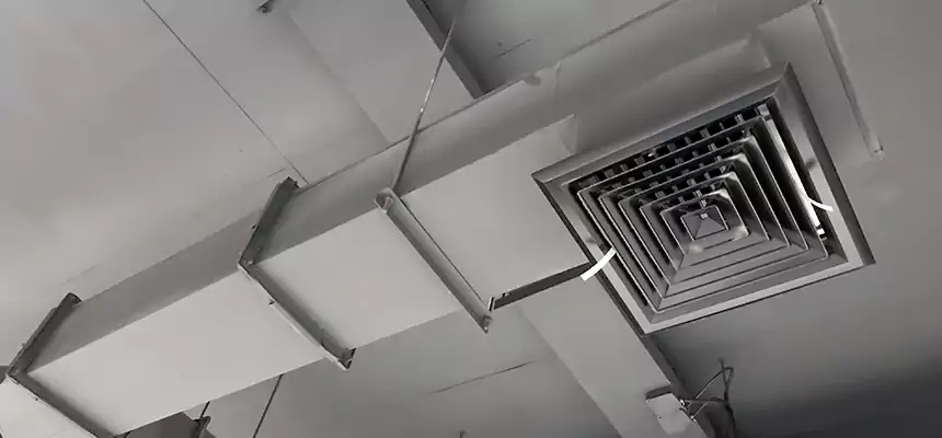 Our Rodent Droppings In Vents Services in Suffolk, VA