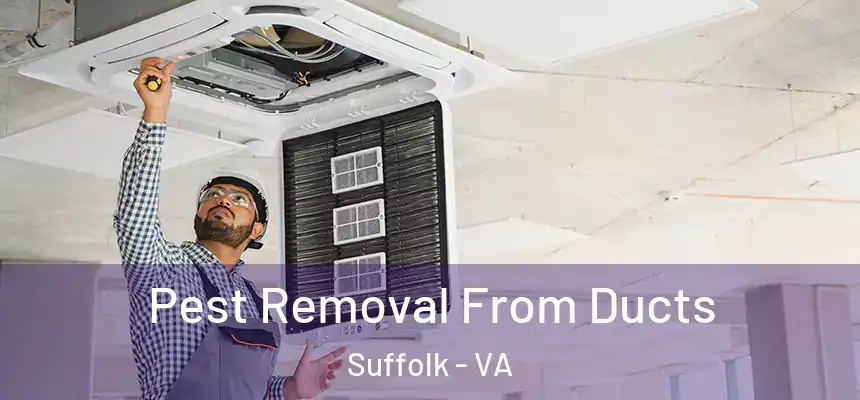 Pest Removal From Ducts Suffolk - VA
