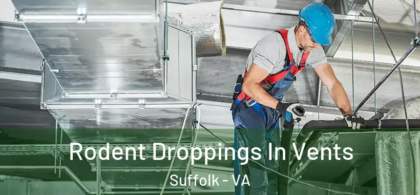 Rodent Droppings In Vents Suffolk - VA