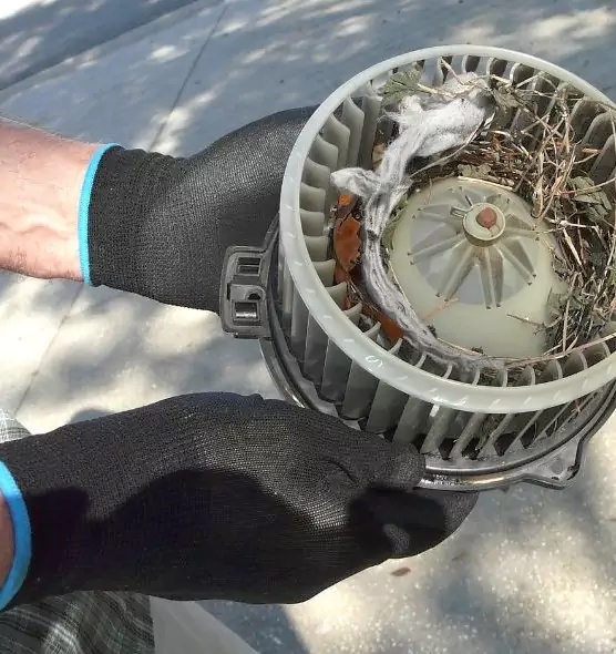 About Air Duct Mice Removal in Suffolk, VA