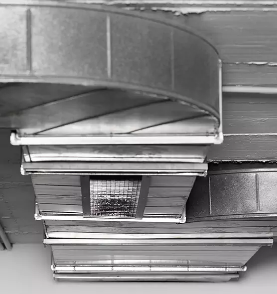 Professional Air Duct Pest Removal in Suffolk, VA