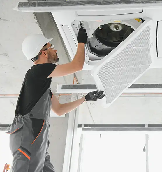 About Air Duct Rodent Removal in Suffolk, VA