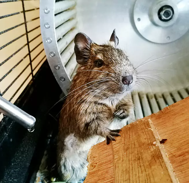 Why Homeowners & Businesses Trust Us Suffolk, VA?